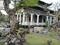 台南楠西玄空法寺內的大樹